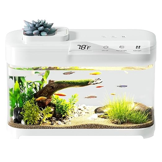 Smart Betta Fish Tank Aquarium