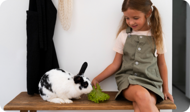 Everything You Need to Know About Keeping a Pet Rabbit